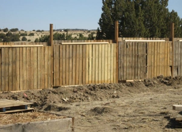 A Large Garden Pallet Fence