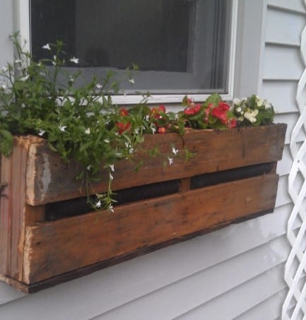 Diy Window Pallet Planter By Paradise Perspectives