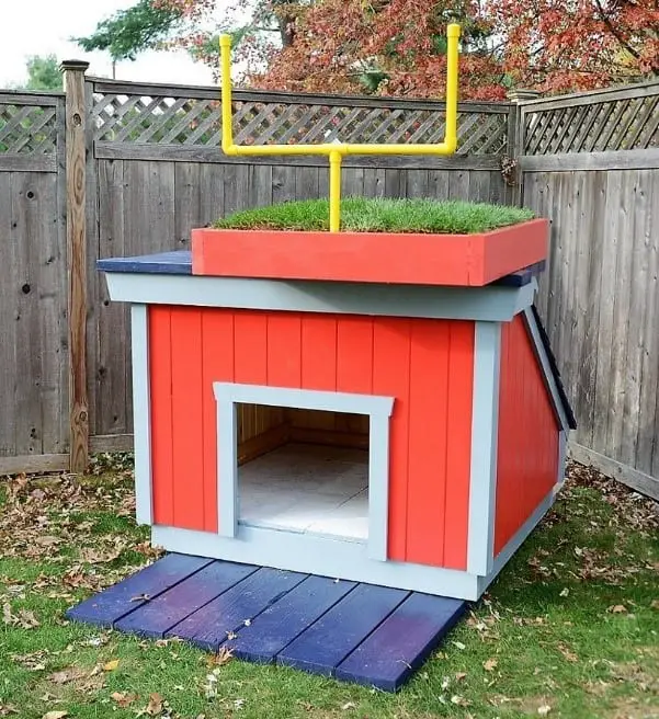 Dog House Slash Football Goal