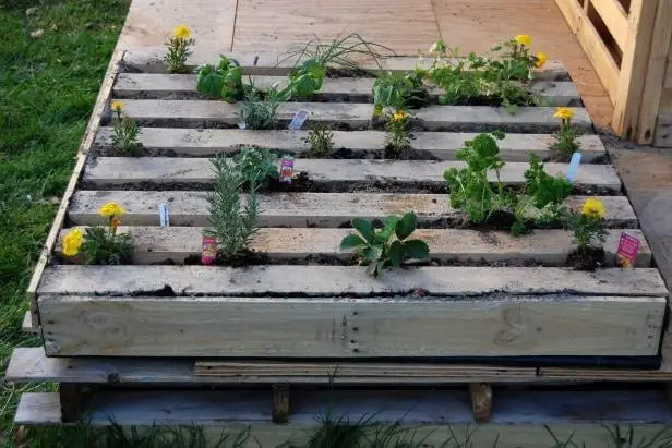 Easy Pallet Herb Garden