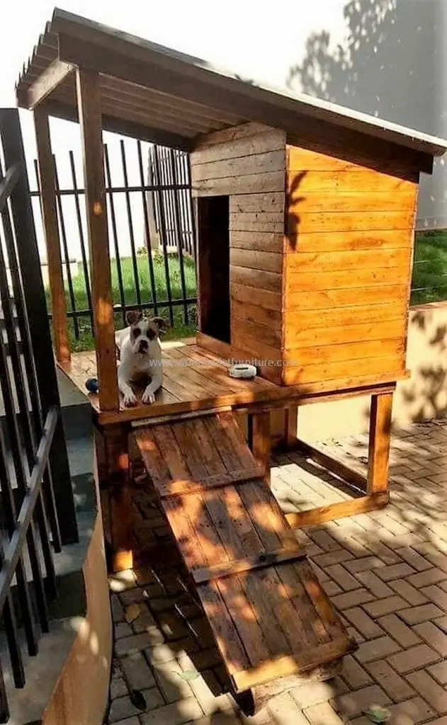 Elevated Dog House With Ramp