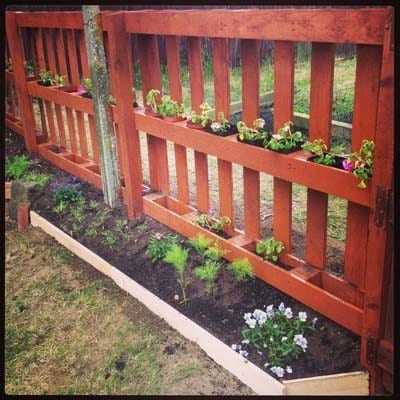 Flower Dressed Pallet Fence