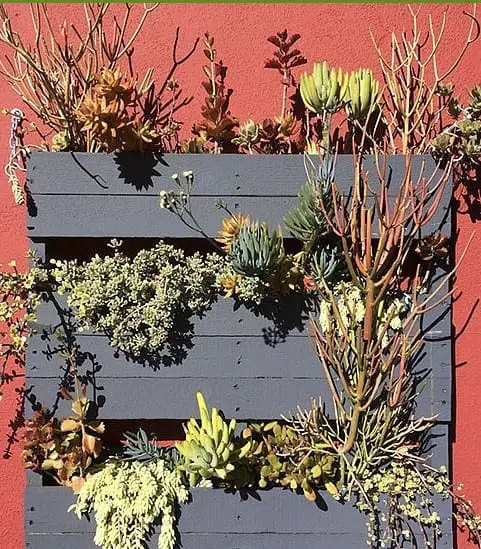 Hanging Pallet Garden