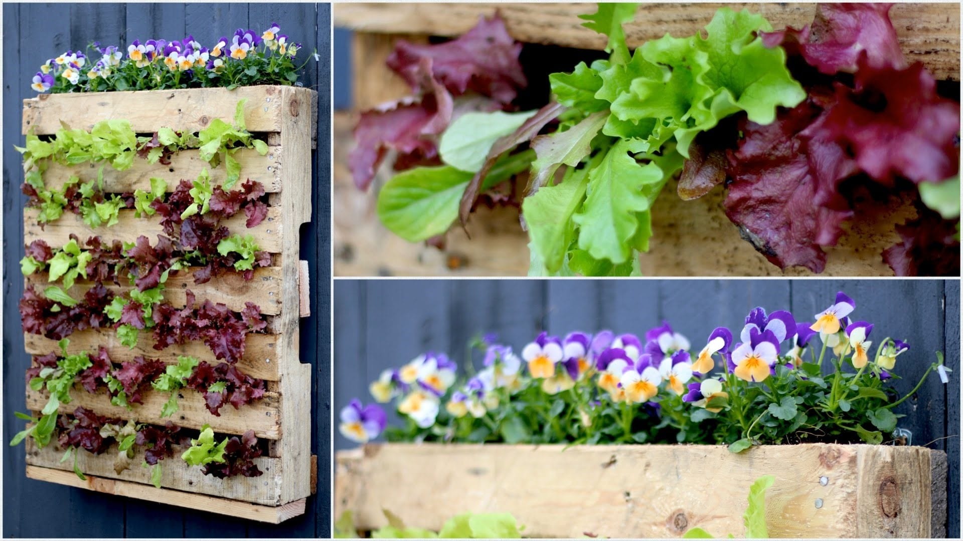 20 Pallet Herb Garden DIY Plans Cut The Wood