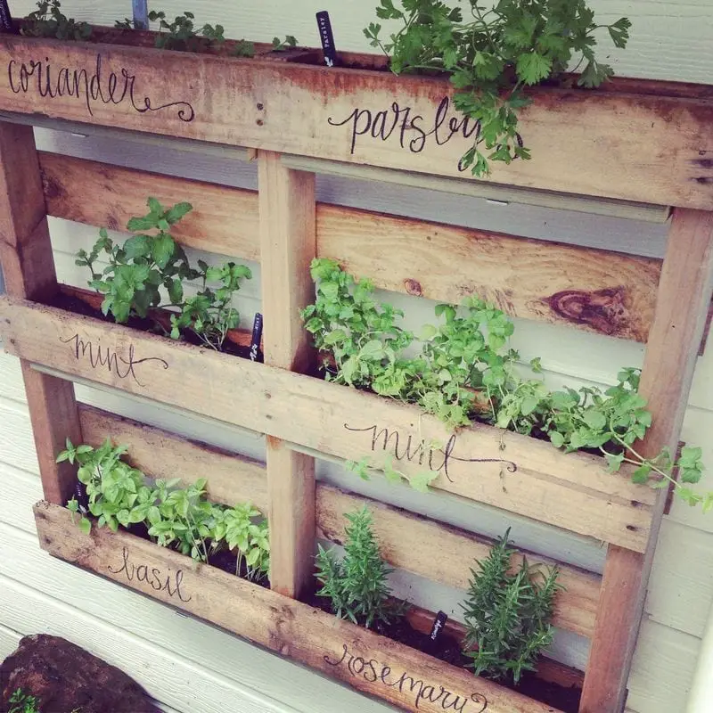 Hanging Vertical Herb Garden