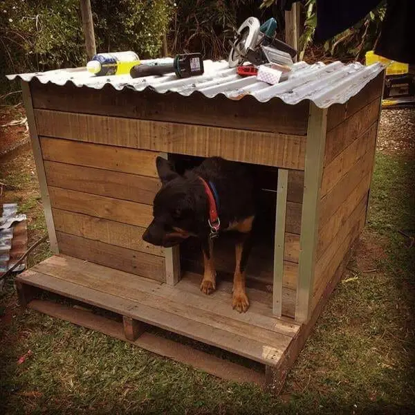 Iron Roofed Pallet Dog House