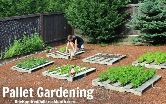 Multiple Pallet Herb Garden