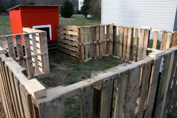 Pallet Fence For Poultry