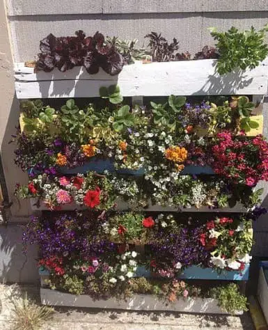 Pallet Garden Plans