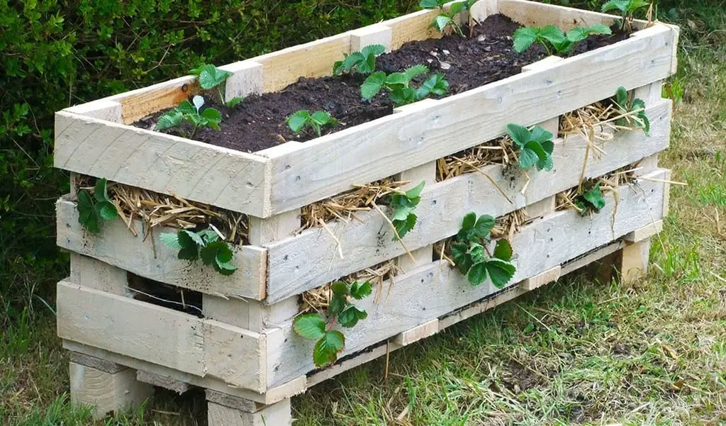 Pallet Herb Garden And Strawberry Farm