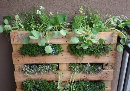 Pallet Herb Garden Stand