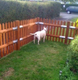 Pallet Picket Fence