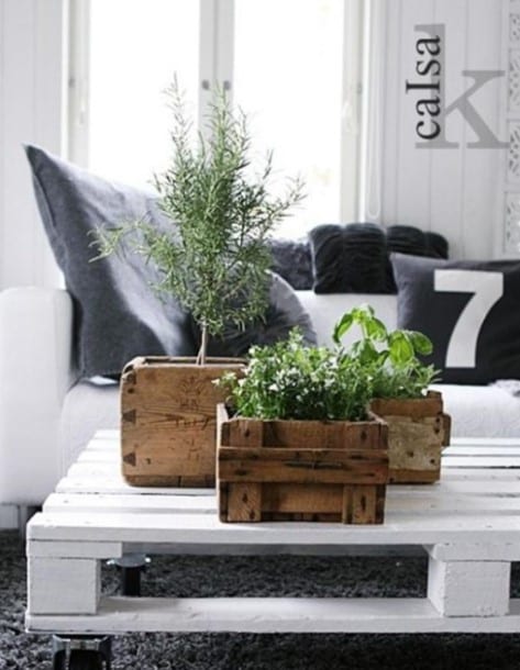 Pallet Planters