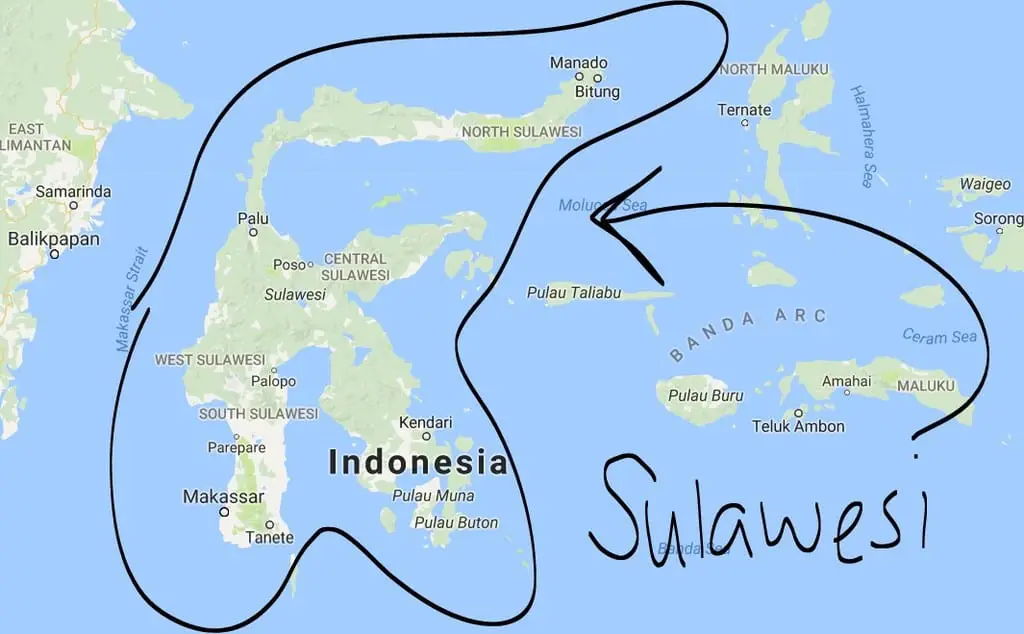 Sulawesi Is Home To More Than 70 Species Of Freshwater Fish Sulawesi Is Home To More Than 70 Species Of Freshwater Fish