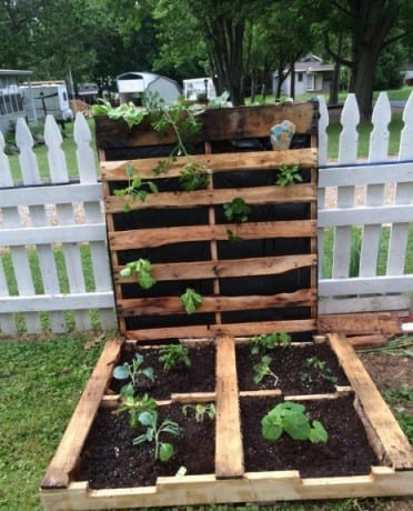 The 2 For 1 Pallet Garden