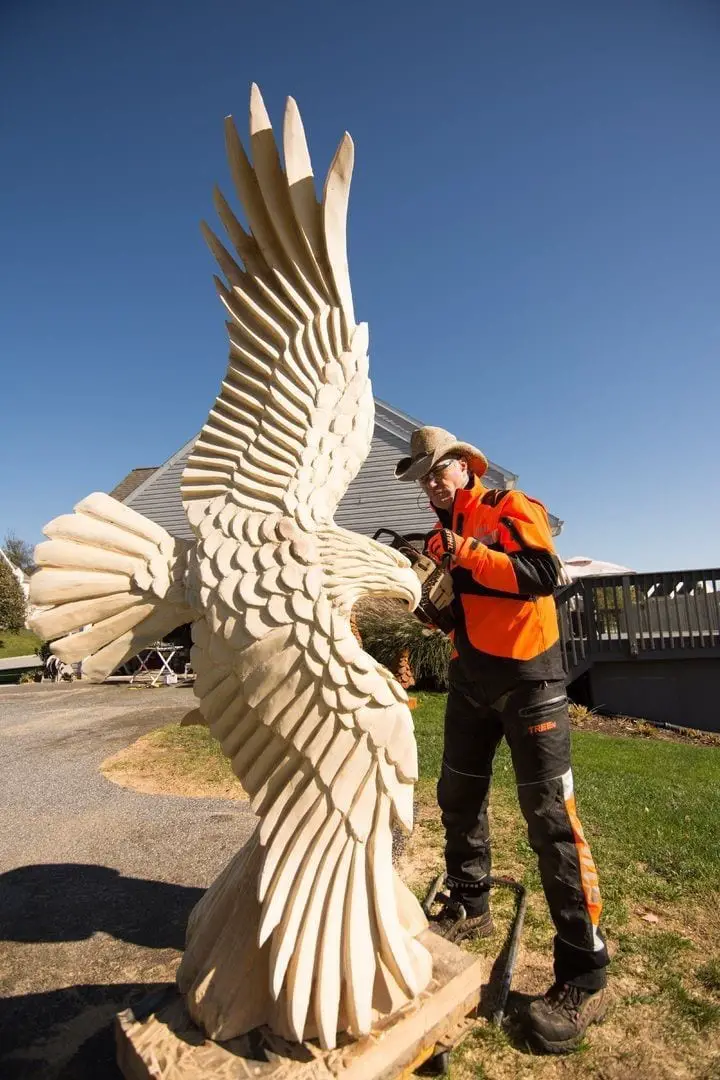 The Art Of Chainsaw Carving