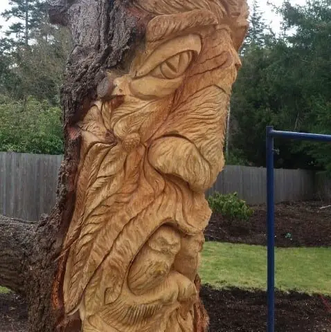 The Flourishing Art Of Chainsaw Carving