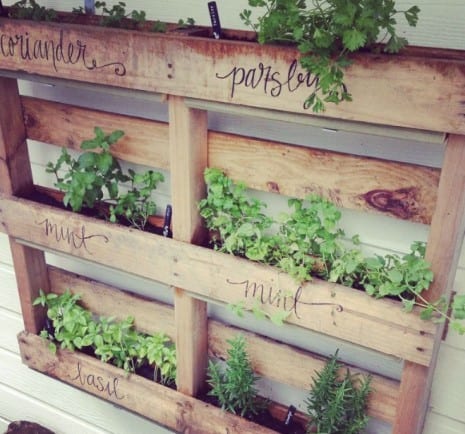 The Pallet Herb Garden