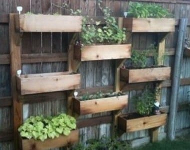 The Planter Pallet Wall