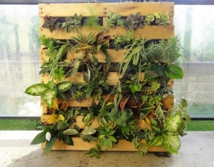 The Small Vertical Garden