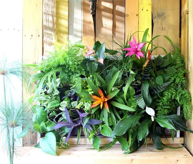 Vertical Box Herb Garden