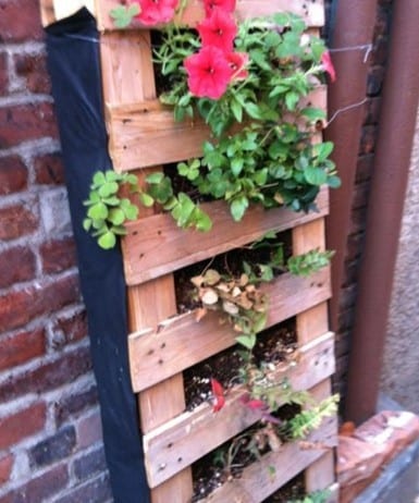 Vertical Flower Garden