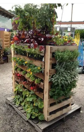 Vertical Pallet Garden