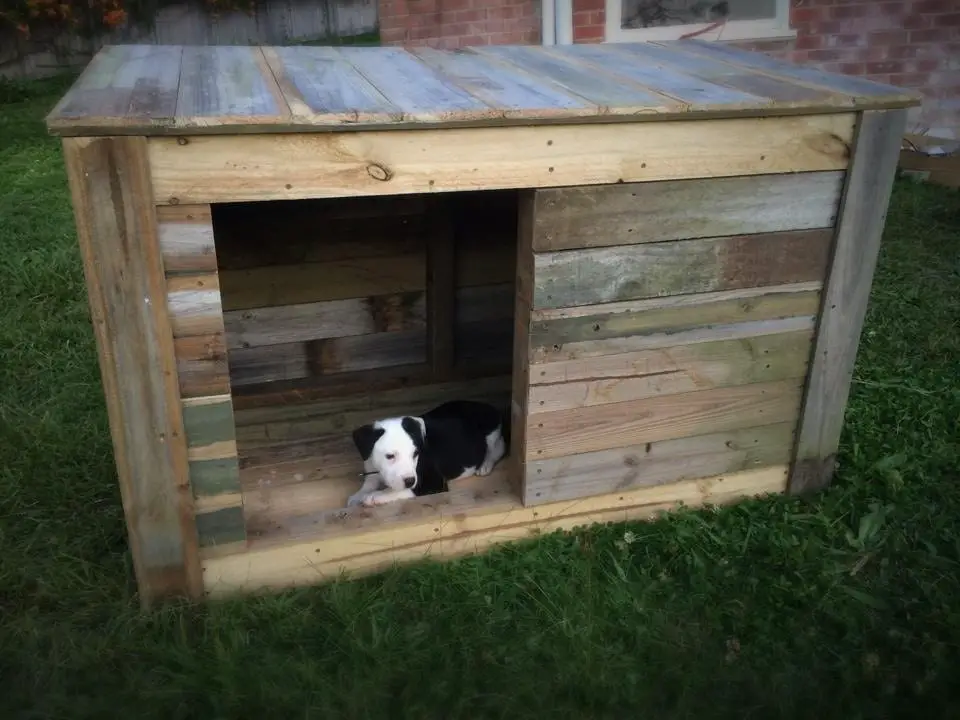 Wide Opening Pallet Dog House