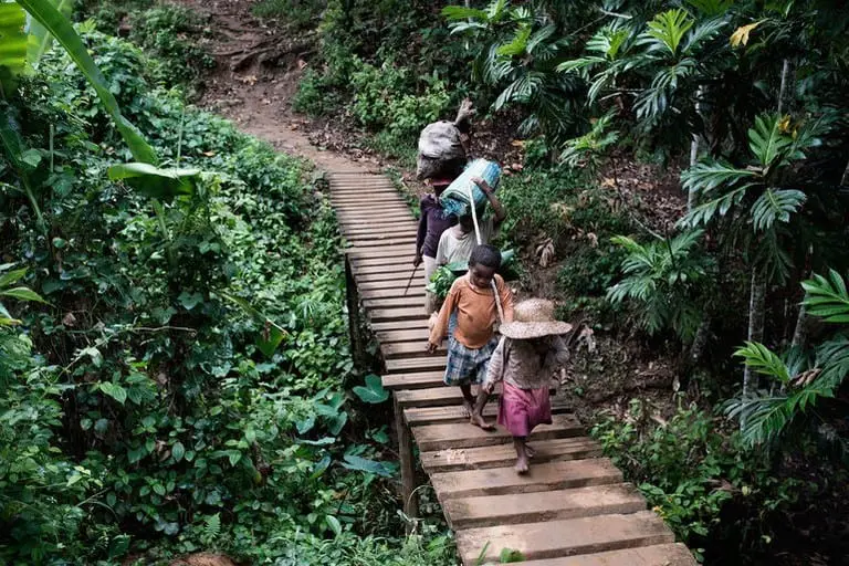 The Spectacular Woodcrafting Knowledge Of The Zafimaniry People In