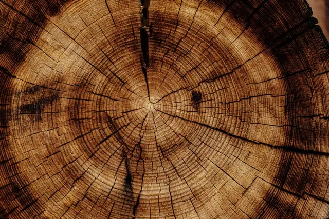 Split Wood