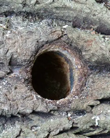 Spackle On Wood