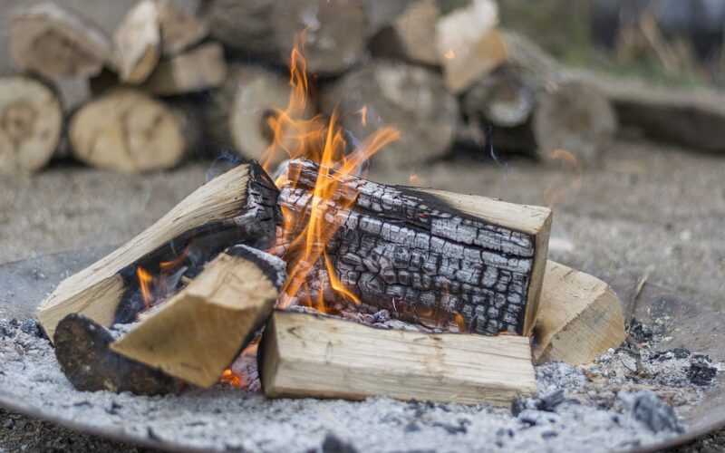 Burn Wet Wood