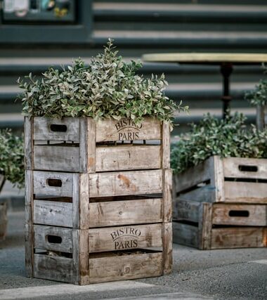 Stain Wood Crates