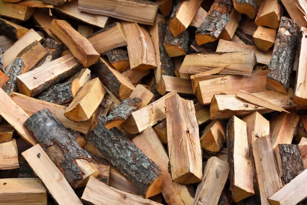 Firewood The Essentials Of Wood Burning Cut The Wood