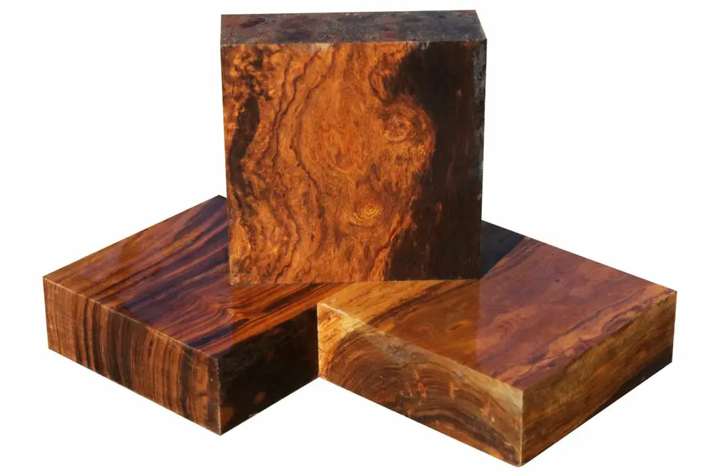 Top 10 Heaviest Woods Worldwide Wood Facts Cut The Wood