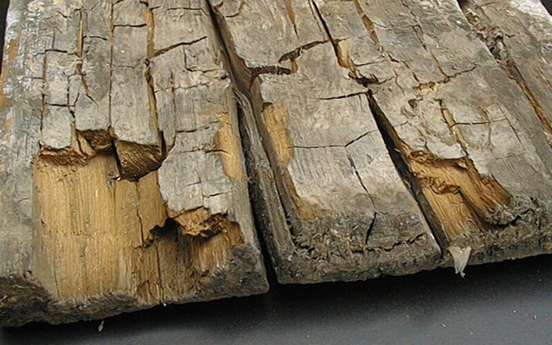 How To Tell The Difference Between Rotten Wood And Termite Damage
