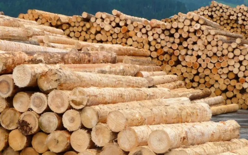 Wood Drying Methods