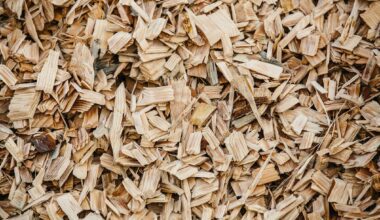 How To Use Wood Chips